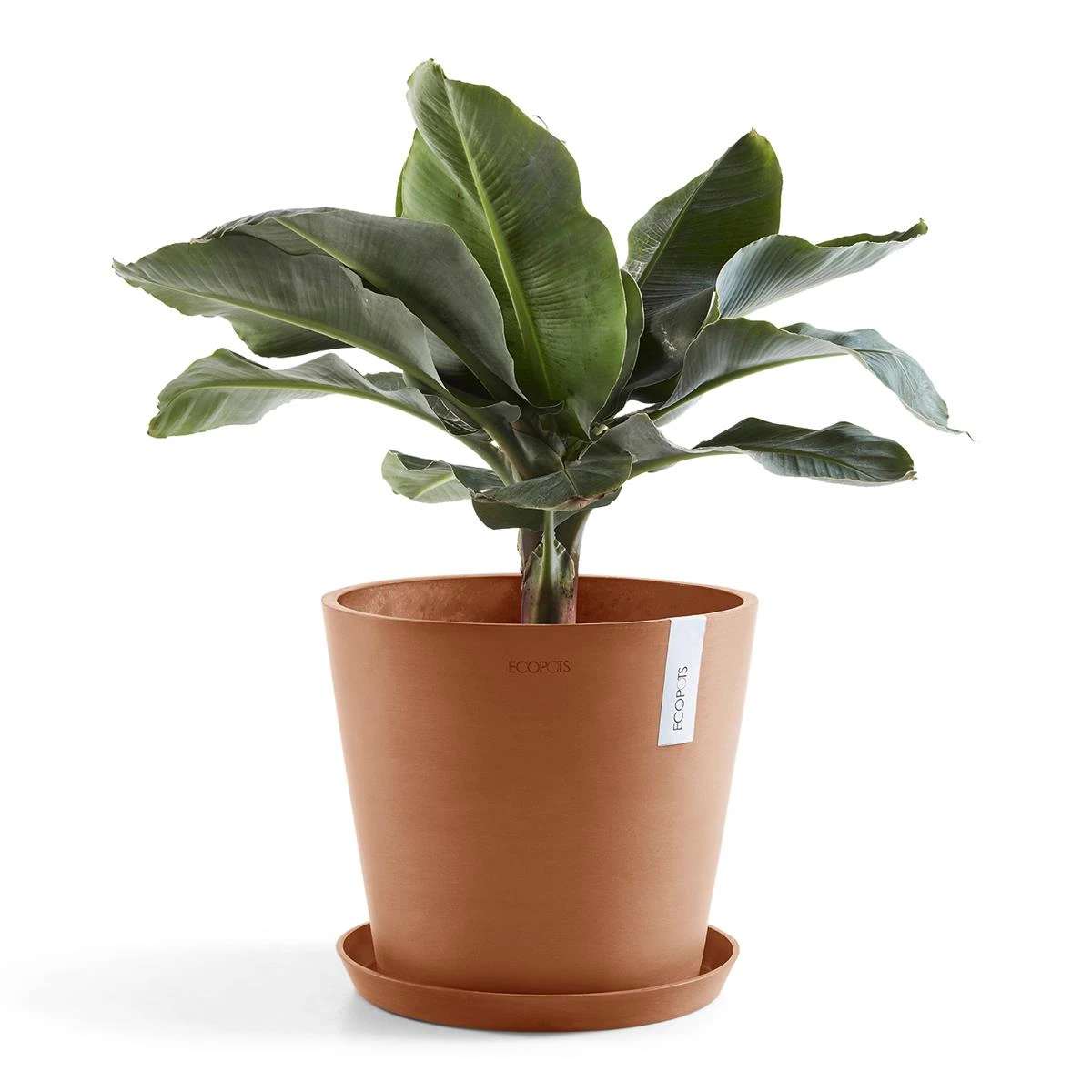 Ecopots Amsterdam 40 9 Ecopots Amsterdam 40 - Afbeelding 7