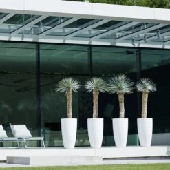 Elho Pure Soft Round High Bloempot Ø 35 Cm - Wit 19 Elho Pure Soft Round High Bloempot Ø 35 Cm - Wit -Tuinproducten 9464926