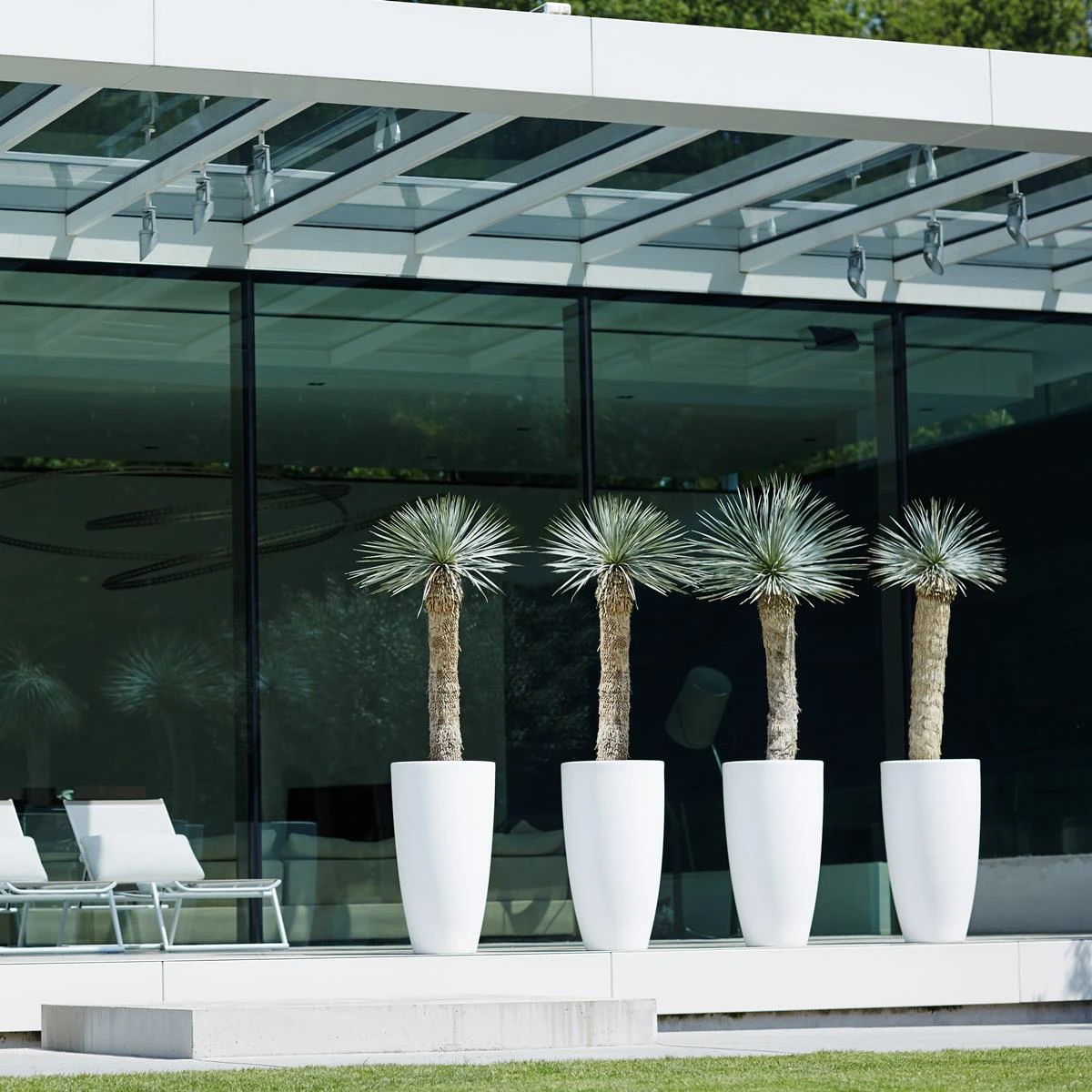 Elho Pure Soft Round High Bloempot Ø 35 Cm - Wit 11 Elho Pure Soft Round High Bloempot Ø 35 Cm - Wit - Afbeelding 9