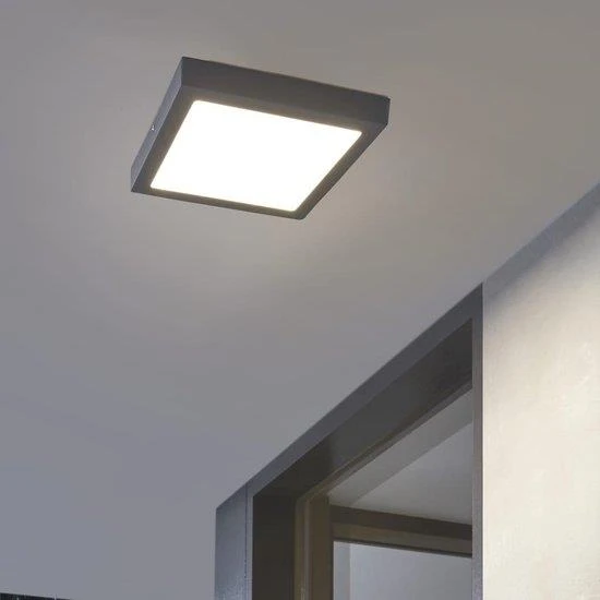 EGLO Argolis LED Wand/Plafondlamp 4 EGLO Argolis LED Wand/Plafondlamp - Afbeelding 2