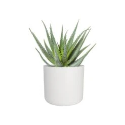 Elho B.For Soft Bloempot Rond 25 Cm 9 Elho B.For Soft Bloempot Rond 25 Cm -Tuinproducten 9479995