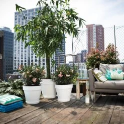 Elho Loft Urban Round Bloempot 50 Cm Met Wielen 11 Elho Loft Urban Round Bloempot 50 Cm Met Wielen -Tuinproducten 9480160