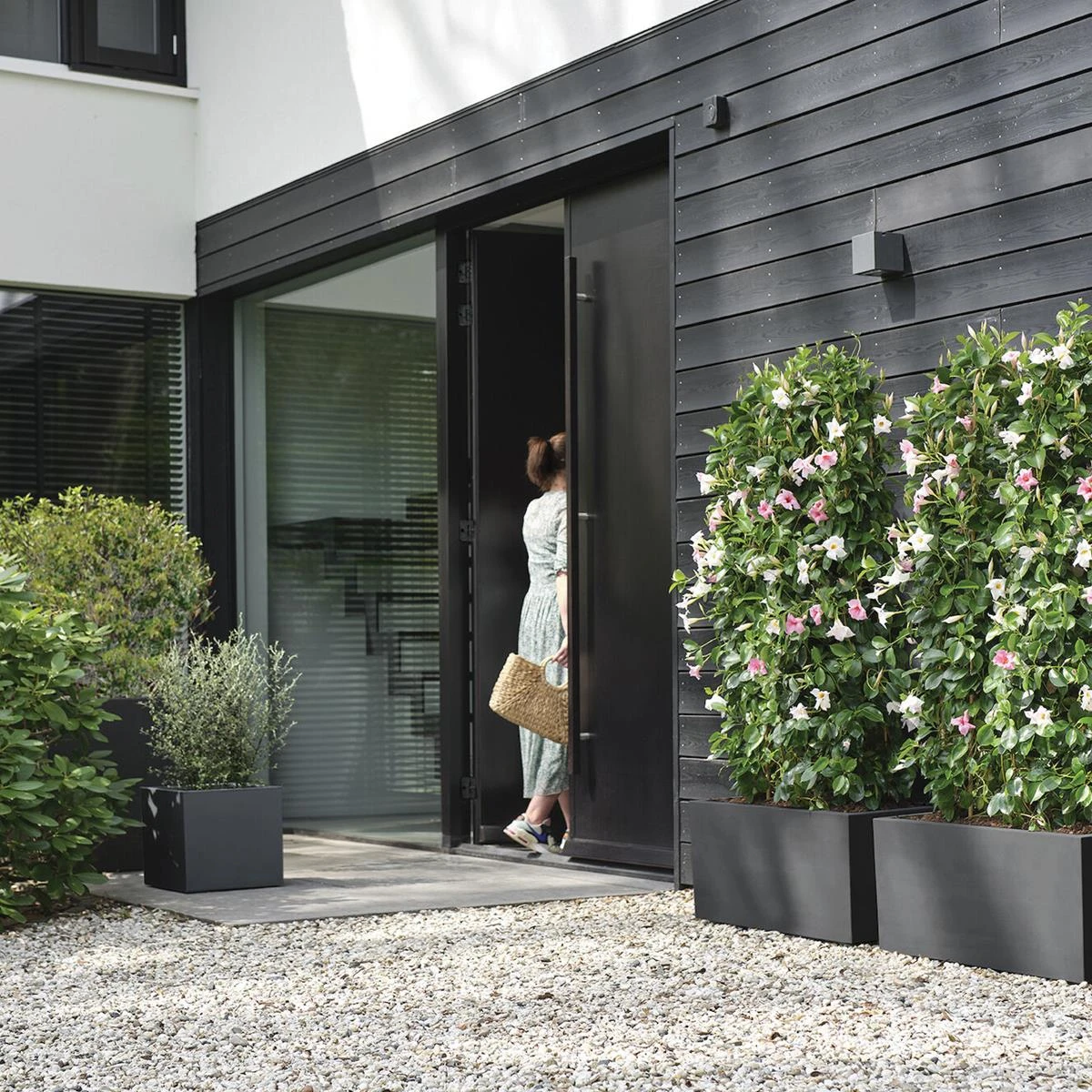 Elho Vivo Next Plantenbak B 40 Cm - Zwart 11 Elho Vivo Next Plantenbak B 40 Cm - Zwart - Afbeelding 9