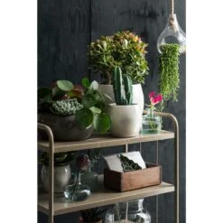 Mica Decorations Lester Bloempot - H18 X Ø20 Cm - Terracotta - Groen 7 Mica Decorations Lester Bloempot - H18 X Ø20 Cm - Terracotta - Groen -Tuinproducten 9532791