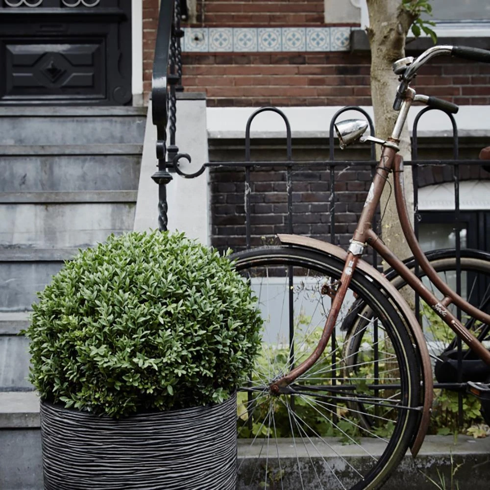 Capi Europe Nature Rib Rond Bloempot 54 Cm 4 Capi Europe Nature Rib Rond Bloempot 54 Cm - Afbeelding 2