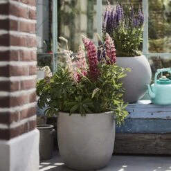 Capi Europe Urban Smooth Egg Planter Bloempot 43 Cm 10 Capi Europe Urban Smooth Egg Planter Bloempot 43 Cm -Tuinproducten 9701652