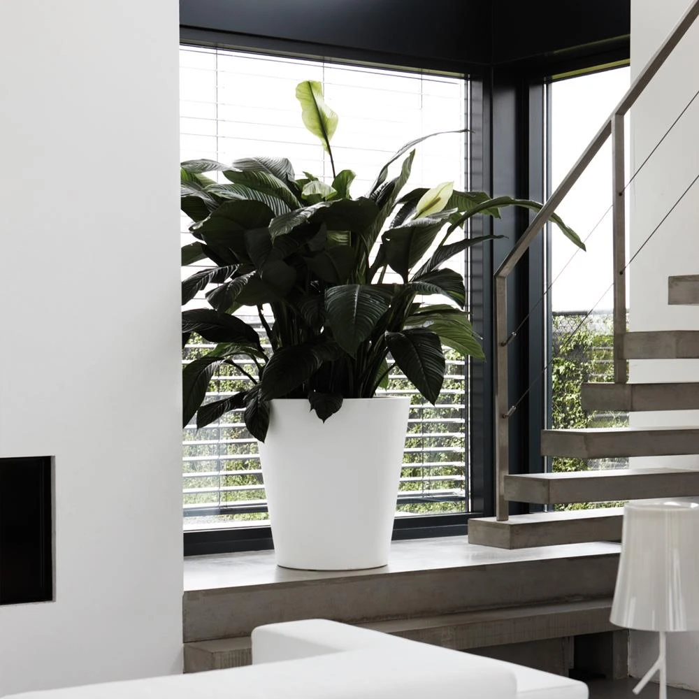 Elho Pure Straight Round Plantenbak 65 Cm Wit 4 Elho Pure Straight Round Plantenbak 65 Cm Wit - Afbeelding 2