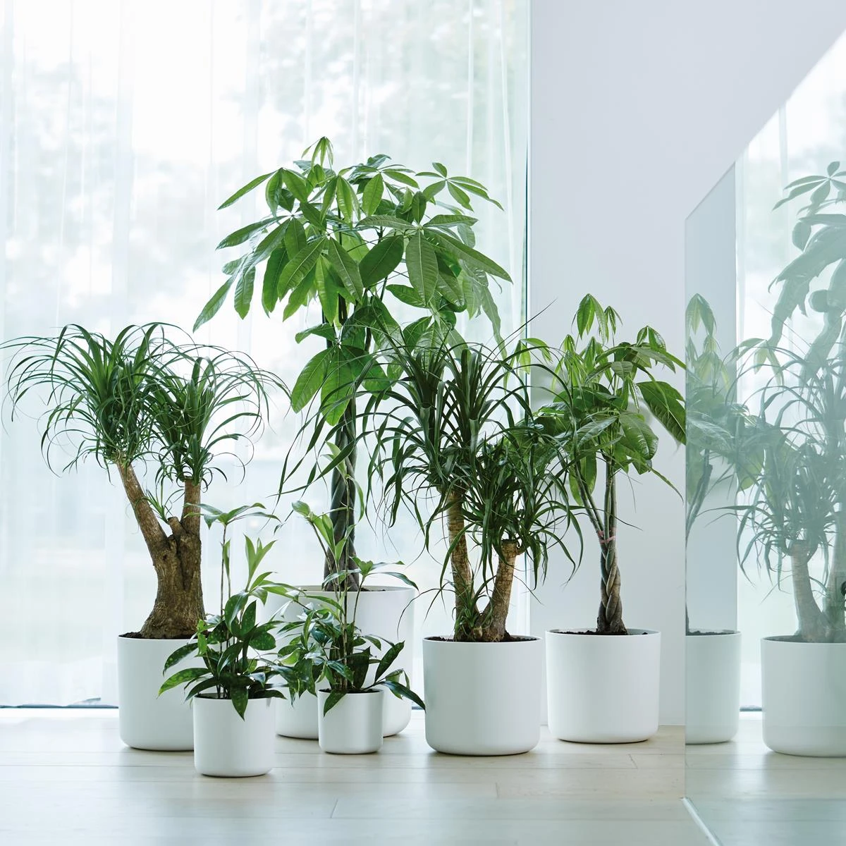 Elho B.For Soft Bloempot Rond 25 Cm 6 Elho B.For Soft Bloempot Rond 25 Cm - Afbeelding 4