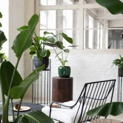 SERAX - Plantenstandaard Vasaro M 9 SERAX - Plantenstandaard Vasaro M -Tuinproducten 9769405