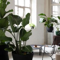 SERAX - Plantenstandaard Vasaro M 13 SERAX - Plantenstandaard Vasaro M -Tuinproducten 9769413