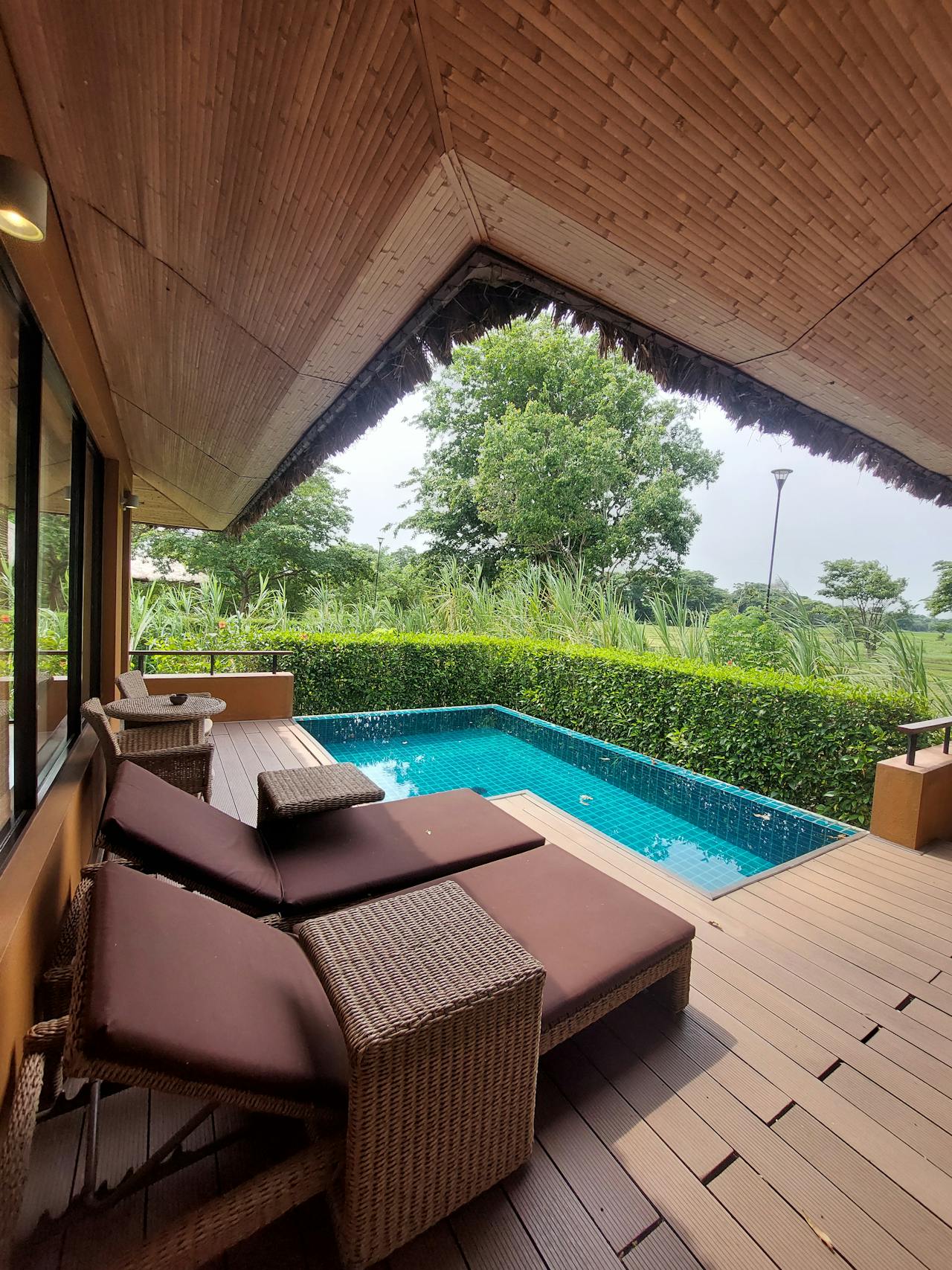 Tuinproducten -Tuinproducten pexels hiruna wanninayake 2156204267 34786557